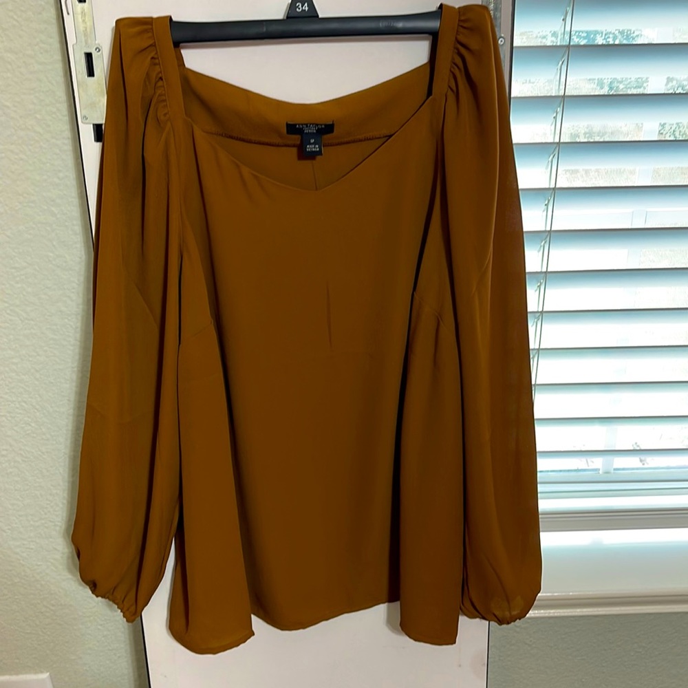 Ann Taylor Blouse — SP